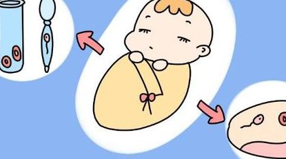 试管宝贝是在试管长大？如此想你就错了