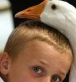 中山正规医院三代试管婴儿总共需要多少钱？