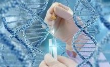 广东医科大学附属医院洗精费用多少钱？试管婴儿移植成功后检查流程有哪些？