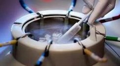 美国试管婴儿多少钱咨询坤和怀孕（美国试管婴儿服务公司）