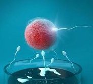 试管婴儿过程中焦虑的情绪是真的会影响胚胎着床！